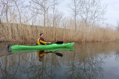 image-06b17113-4fb9-4e1d-80fb-ac4dce3dbedc