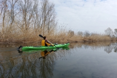 image-7fcb033e-e2fe-4883-8caa-d2211cf52911