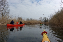 image-b733a789-2996-4790-96e7-05705577b4ec