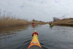 image-d8ae624a-355c-47b8-8417-d200f8fc4f93