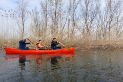 image-e79303ad-52ae-4826-84bd-871ce4eeb740