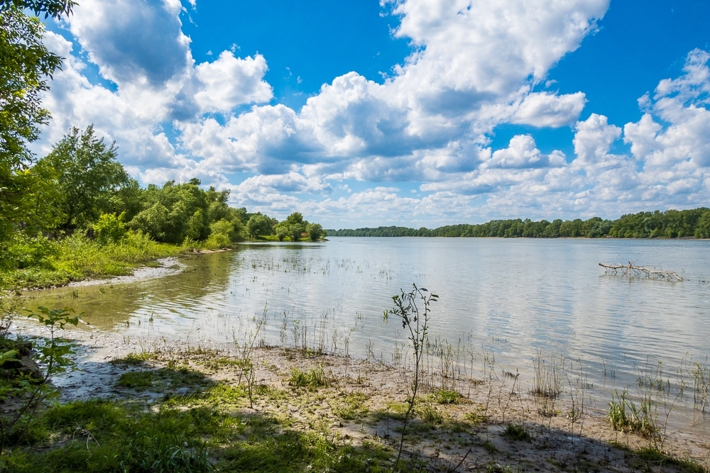 A Duna Dunaalmásnál  (kajakkaland.hu)