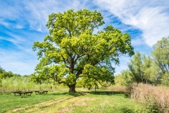 Gemenc-Dunapart (kajakkaland.hu)