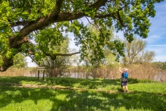 Gemenc-Dunapart (kajakkaland.hu)