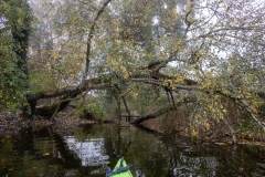 Őszi evezés - www.kajakkaland.hu