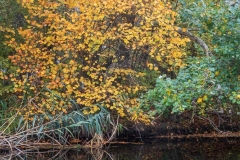 Októberi evezés - www.kajakkaland.hu