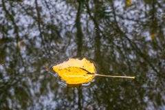 Őszi víz - www.kajakkaland.hu