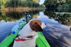 Seabird Expedition Afjord Pro kajak (kajakkaland.hu)