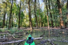Nehezebb terepen jól jön - Seabird Expedition Afjord Pro kajak (kajakkaland.hu)