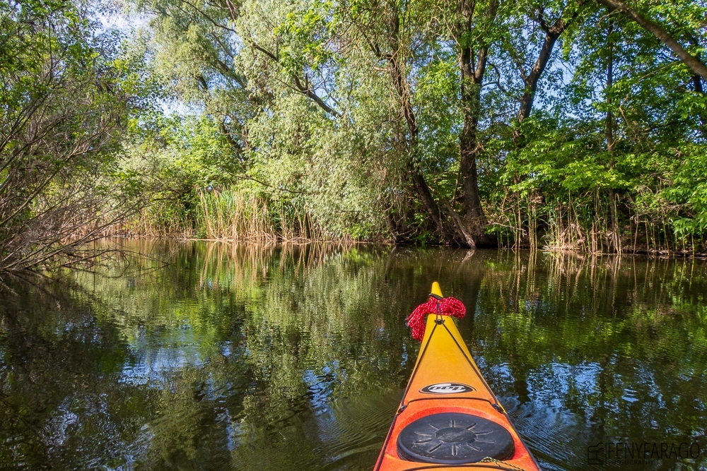 Vajas-fok (kajakkaland.hu)
