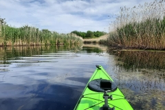 Vajas csatorna (kajakkaland.hu)