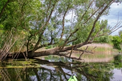 A Vajason (kajakkaland.hu)