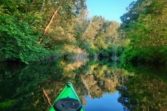 Vajas-fok (kajakkaland.hu)