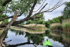 Horgász (kajakkaland.hu)