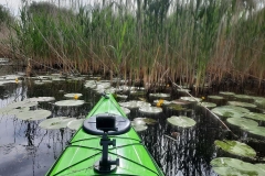 Tökleveles (kajakkaland.hu)