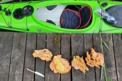 Evezés után - vacsora előtt (kajakkaland.hu)