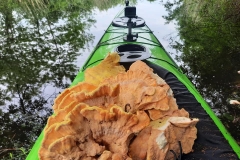 A vacsorának való (kajakkaland.hu)