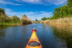 Vajas-fok (kajakkaland.hu)