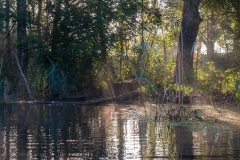 Őszi hangulat (kajakkaland.hu)