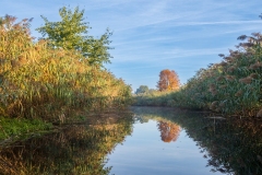 Októberi csatorna (kajakkaland.hu)
