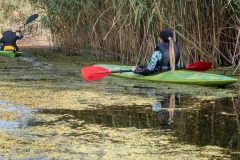 Őszi túra a Vajas-fokon (kajakkaland.hu)