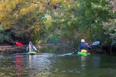 Őszi túra a Vajas-fokon (kajakkaland.hu)