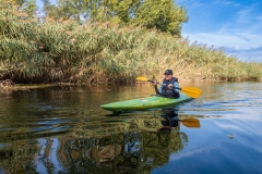 Őszi túra a Vajas-fokon (kajakkaland.hu)