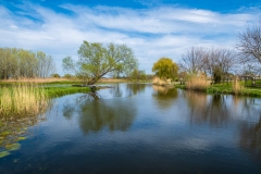 A Vajas Dusnok környékén (kajakkaland.hu)