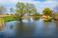 A Vajas Dusnok környékén (kajakkaland.hu)
