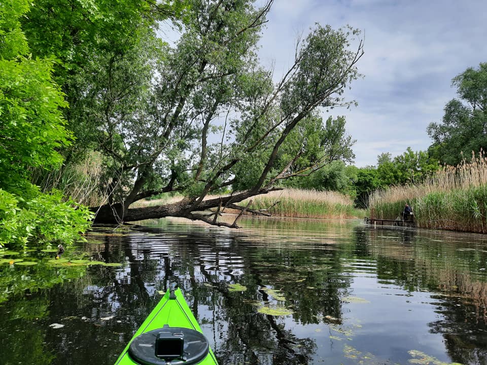 Vajas-fok (kajakkaland.hu)