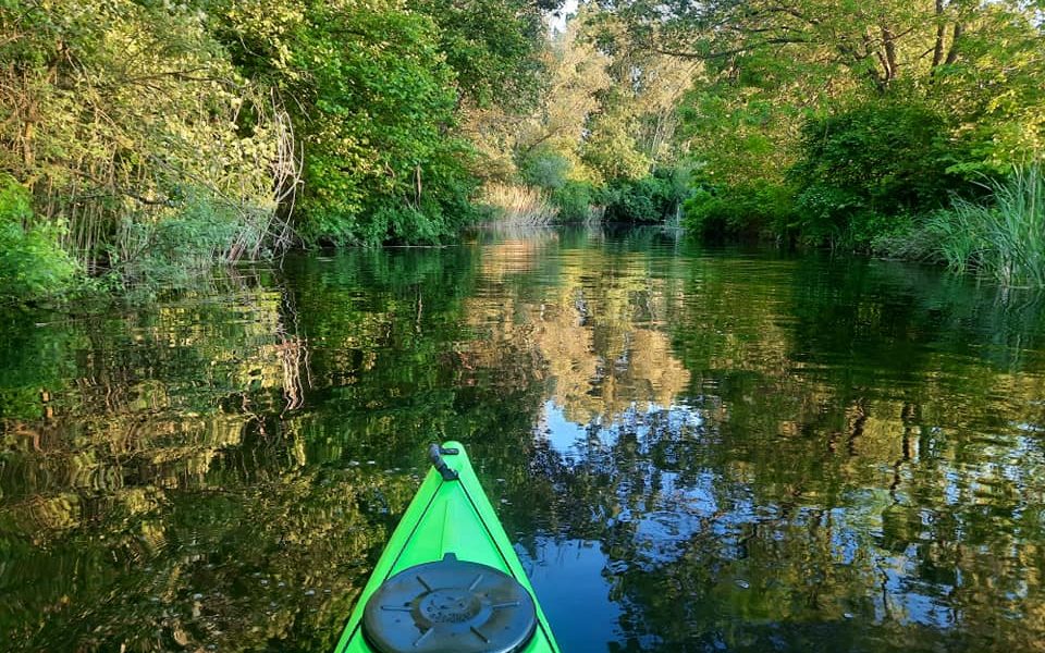 Vajas-fok (kajakkaland.hu)