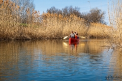 IMG_0682_1000
