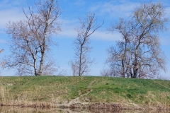 image-45c2808d-328a-4a1e-b2c7-e5724beaaf77