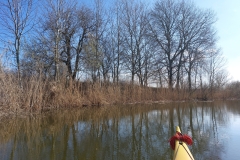 image-abfabbd9-0c59-4f67-aaf9-7ff2d3ab3082