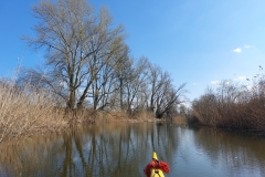 image-bcbf66c9-0777-4eab-921f-0171189eb079