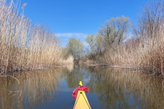 image-c8431c5d-dfef-4ff1-828b-17a28cdb8203