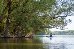 Nyár a tavaszban (kajakkaland.hu)