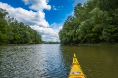 Torkolat  (kajakkaland.hu)